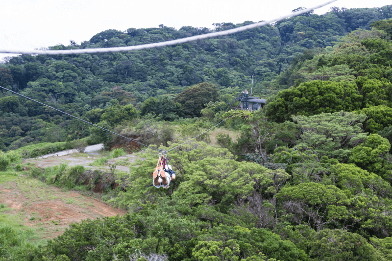 Pattaya: Soar like Tarzan on an Exciting Zipline Ride