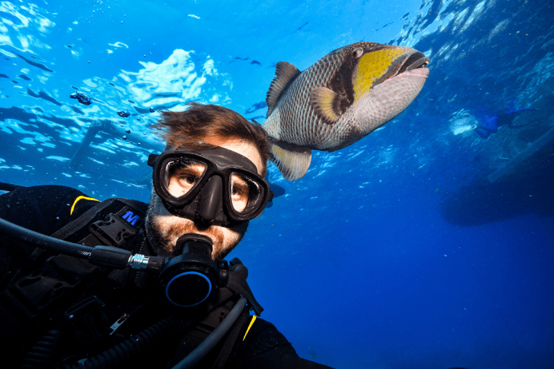Kusadasi: Diving Experience with Lunch and Transfer