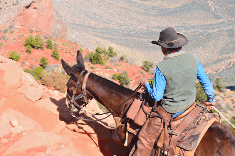 Cappadocia: Sunset or Daytime Horse Riding Tour