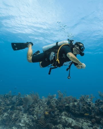 Ko Tao: Try Scuba Diving 1-Day Experience with Hotel Pickup