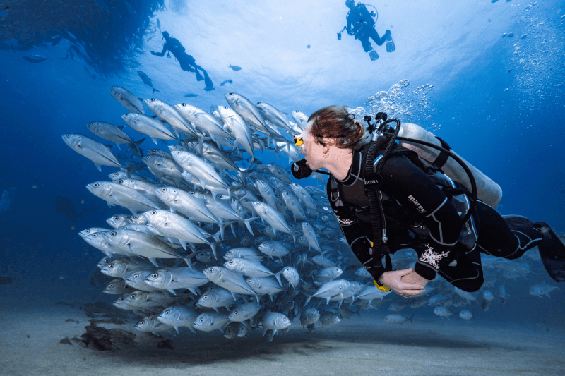 Marmaris: Scuba Diving Experience with 2 Dives and Lunch
