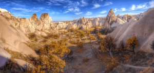 Gallery Thumbnail