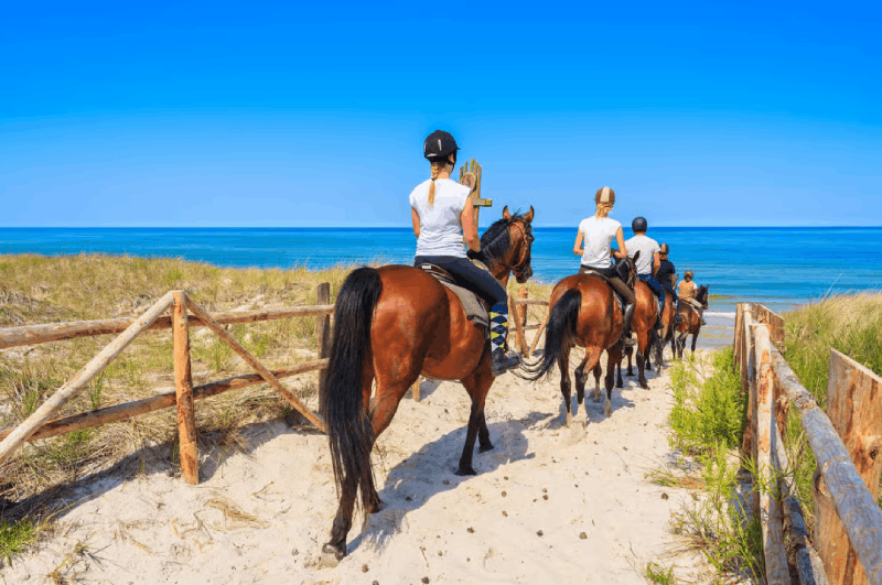 Kusadasi: Horse Riding Beach and Forest w/Transfer