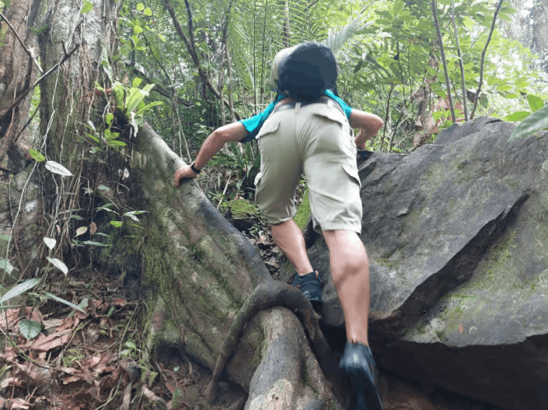 From Phuket: Guided Rainforest Hike with Lunch