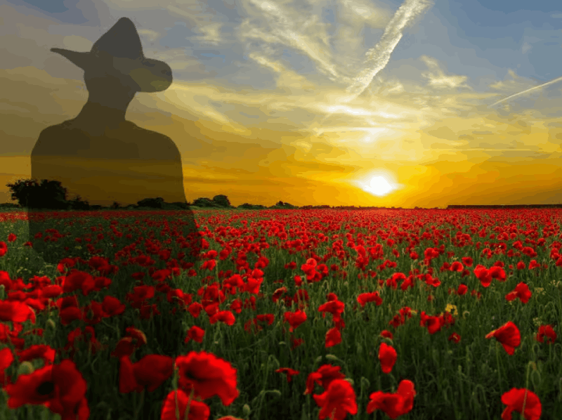 Gallipoli Full-Day Tour from Istanbul