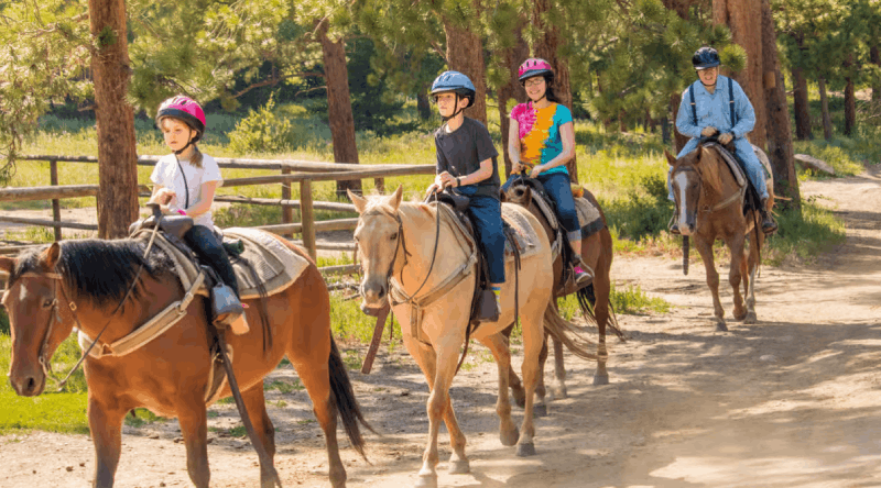 Bodrum: Horseback Riding Experience with Hotel Transfer