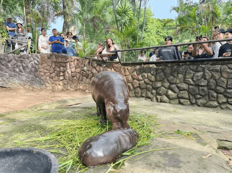 Pattaya: Khao Kheow Zoo & J-Park Japanese Village Day Trip
