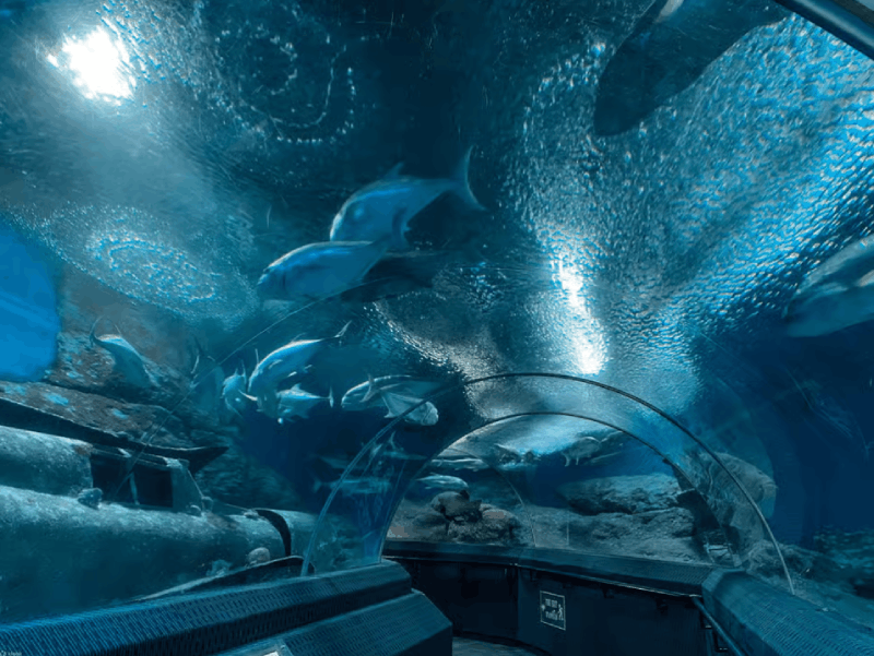 Pattaya: Underwater World Pattaya Aquarium Admission Ticket