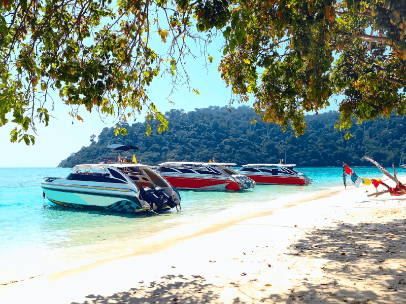 Phi Phi & Bamboo Islands: Premium Day Trip w/ Seaview Lunch