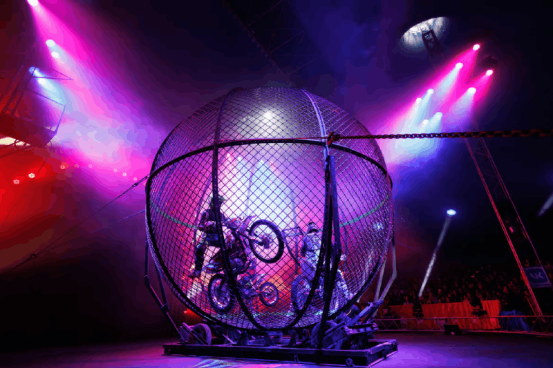 Phuket: Aqua Circus Admission Tickets