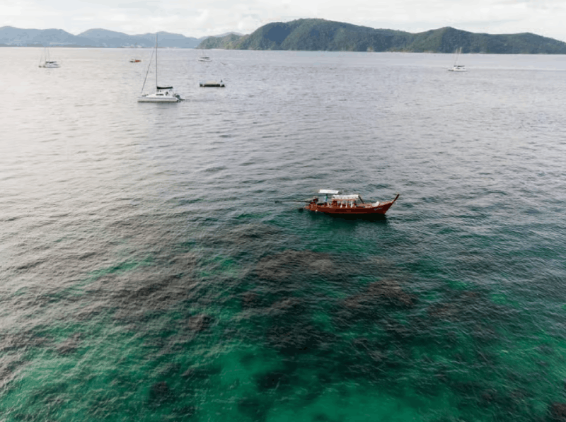 Phuket: Coral Island Luxury Long Tail Boat Half-Day Tour