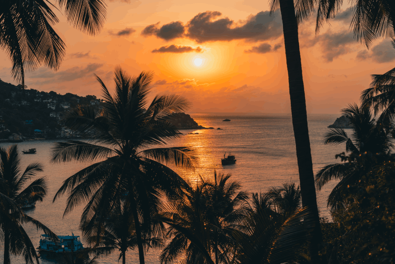 From Khao Lak: Surin Islands Day Tour with Snorkel & Lunch
