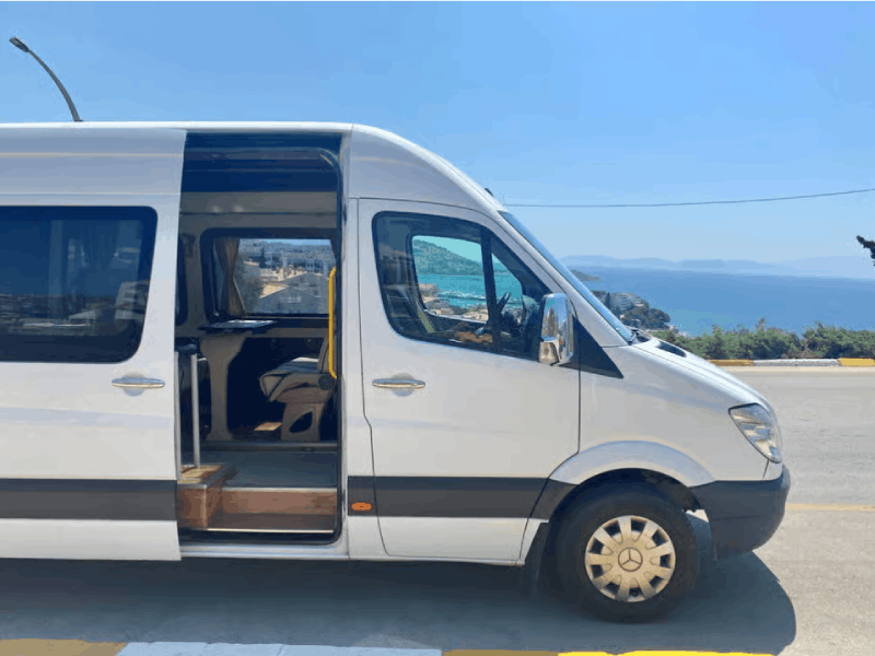 From Istanbul: Private Guided Day Trip to Ephesus with Lunch