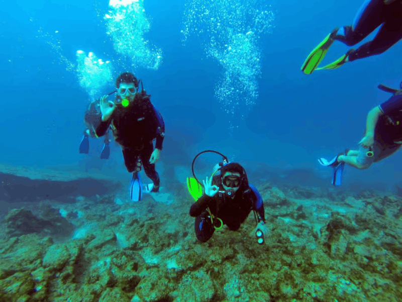 Bodrum Scuba Diving Experince W/ Lunch & Round Trip Transfer